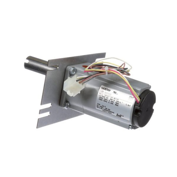 Conveyor motor